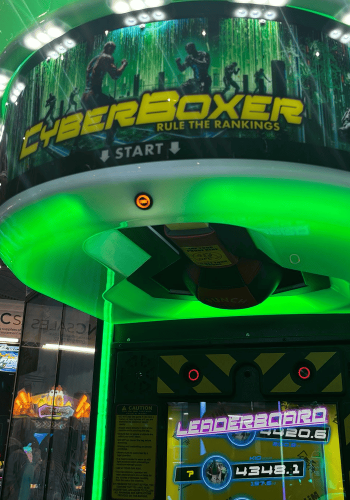 CYBER BOXER - immagine 4